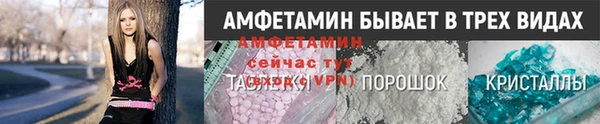 ПСИЛОЦИБИНОВЫЕ ГРИБЫ Заводоуковск