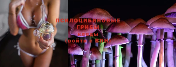 ПСИЛОЦИБИНОВЫЕ ГРИБЫ Заводоуковск