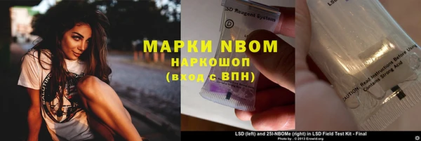ПСИЛОЦИБИНОВЫЕ ГРИБЫ Заводоуковск