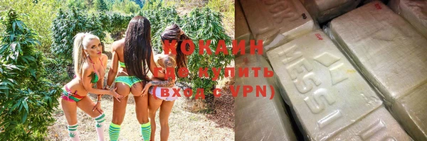 ПСИЛОЦИБИНОВЫЕ ГРИБЫ Заводоуковск